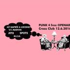 Punk 4 FREE Open AIR