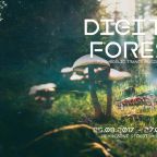 DIGITAL FOREST - WARM UP