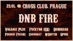 dnbb.jpg