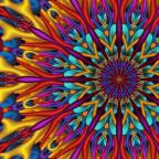 PSYTRANCE & INSECT ELEKTRIKA INVITES