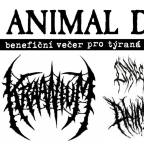 ANIMAL DEFENCE & A51 vs HYPNO 808