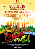 CULTURAL REGGAE VIBEZ WARM-UP