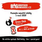 BIG BROTHER AWARDS