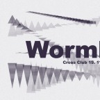 WORMHOLE 1998-2009 w/ CHRIS.SU (HU)