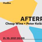 AFTERPARTY ŽIŽKOVSKÉ NOCI