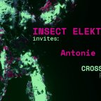 INSECT ELEKTRIKA INVITES