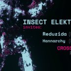 INSECT ELEKTRIKA INVITES