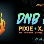 DNB FIRE