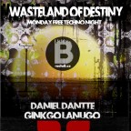 WASTELAND OF DESTINY