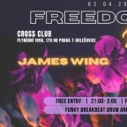 FREEDOM NIGHT