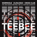 WORMHOLE 1996-2008 w/ TEEBEE (NOR)
