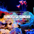 SUNDEJ SE SUNDAY