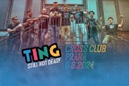 ting.jpg