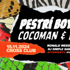 PESTŘÍ BOYS - KŘEST ALBA & CROSS TEMPLE AFRO TECHNO & AFRO HOUSE