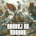 SUNDEJ SE SUNDAY