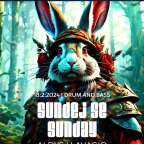 SUNDEJ SE SUNDAY