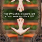 MISTR ZÁVIŠ NA SVATÉHO JIŘÍ & DNB STAGE
