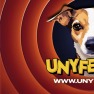 UNYFEST 25