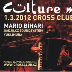 CULTURE MOVE with MARIO BIHARI
