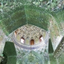 IMG_1300 m.jpg