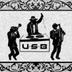 ELECTRO SWING MADHOUSE
