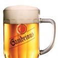 GAMBRINUS DO 20:00 za 21,-