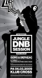 JUNGLE DNB SESSION 6.3.2009