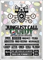 JUNGLIST CALL 16.04.2010 (CANDY SE BOHUŽEL PRO UZAVŘENÍ  VŠECH LETIŠŤ V ČR NEDOSTANE DO PRAHY) PARTY přesto BUDE...