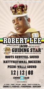 ROBERT LEE 12.12.2008