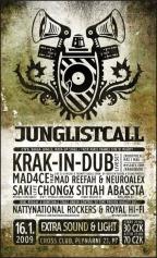 JUNGLIST CALL (jungle producents and djs)