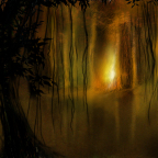 JUNGLE FIRE