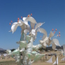 4904d6dc98443.jpeg
